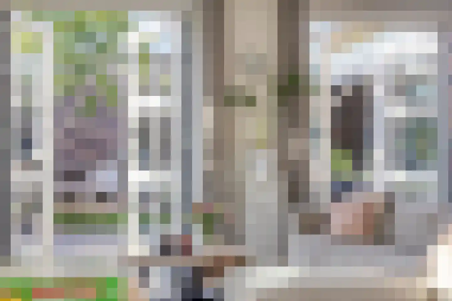 Pastoorsbiest 45 Boxmeer thumbnail 6