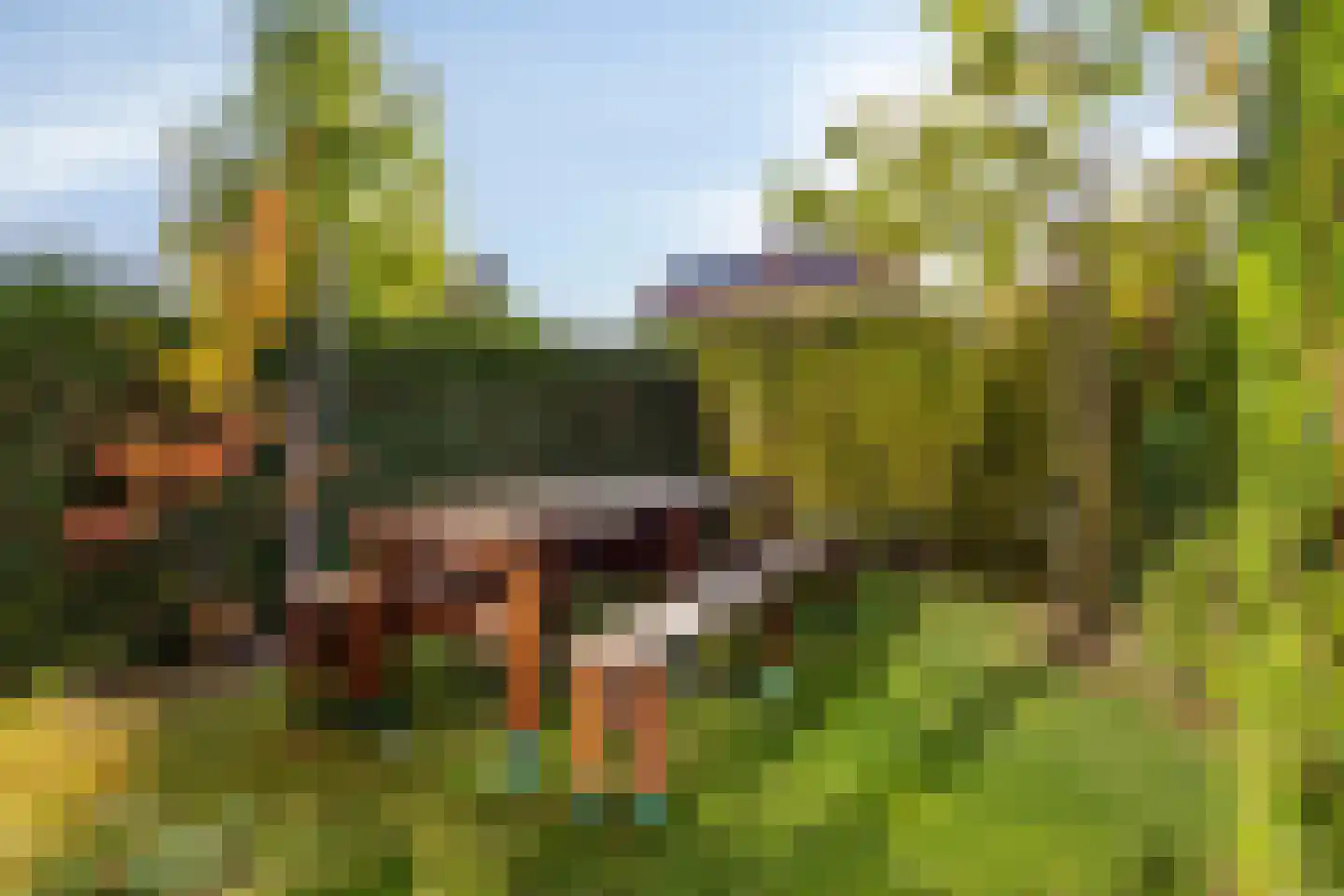 Pastoorsbiest 45 Boxmeer thumbnail 60