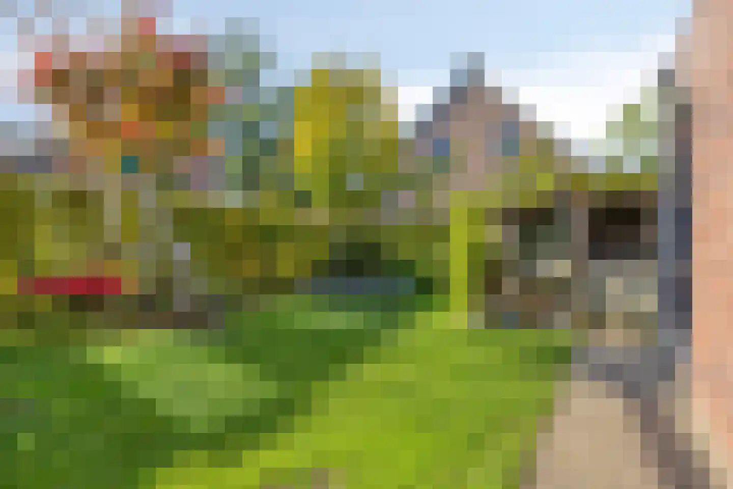 Pastoorsbiest 45 Boxmeer thumbnail 61