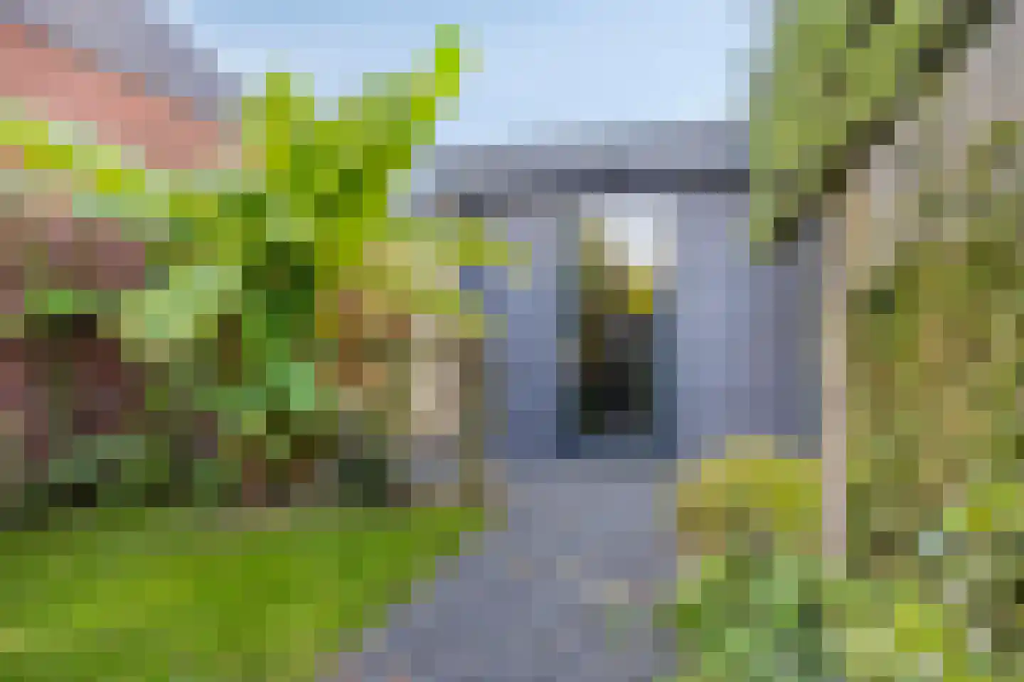 Pastoorsbiest 45 Boxmeer thumbnail 64
