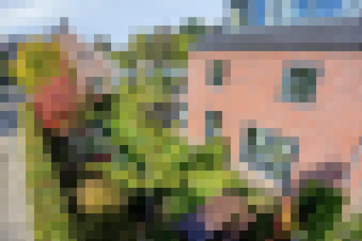 Pastoorsbiest 45 Boxmeer thumbnail 66