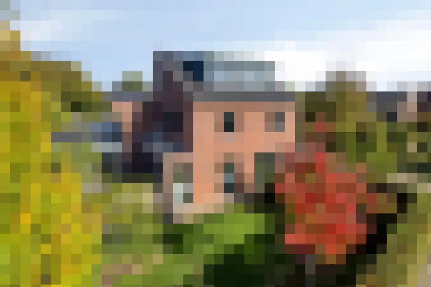Pastoorsbiest 45 Boxmeer thumbnail 67