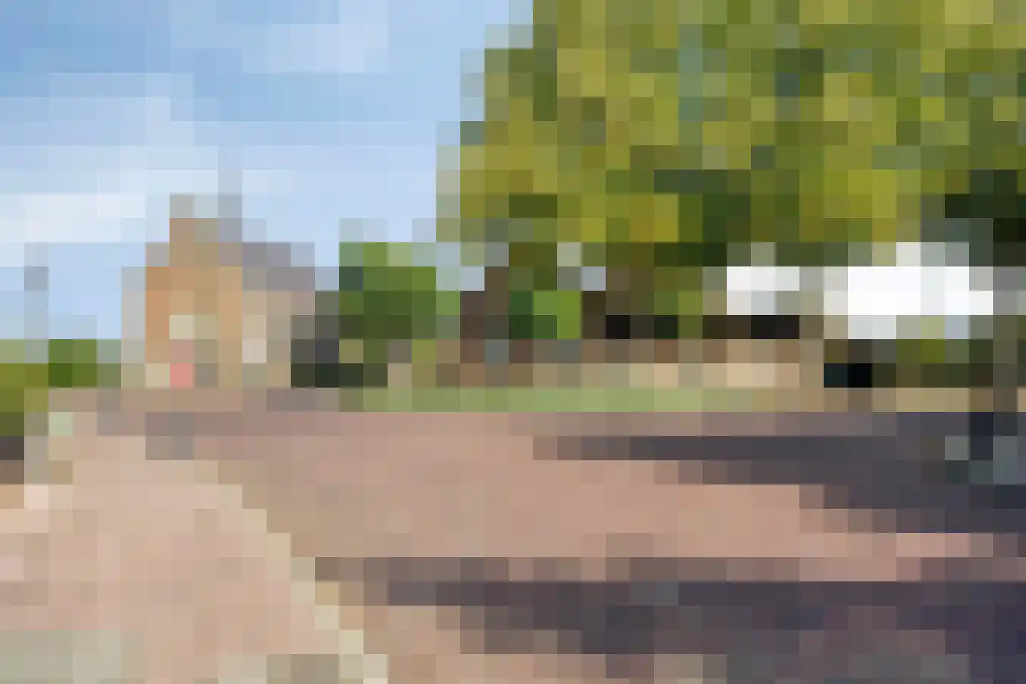 Pastoorsbiest 45 Boxmeer thumbnail 70
