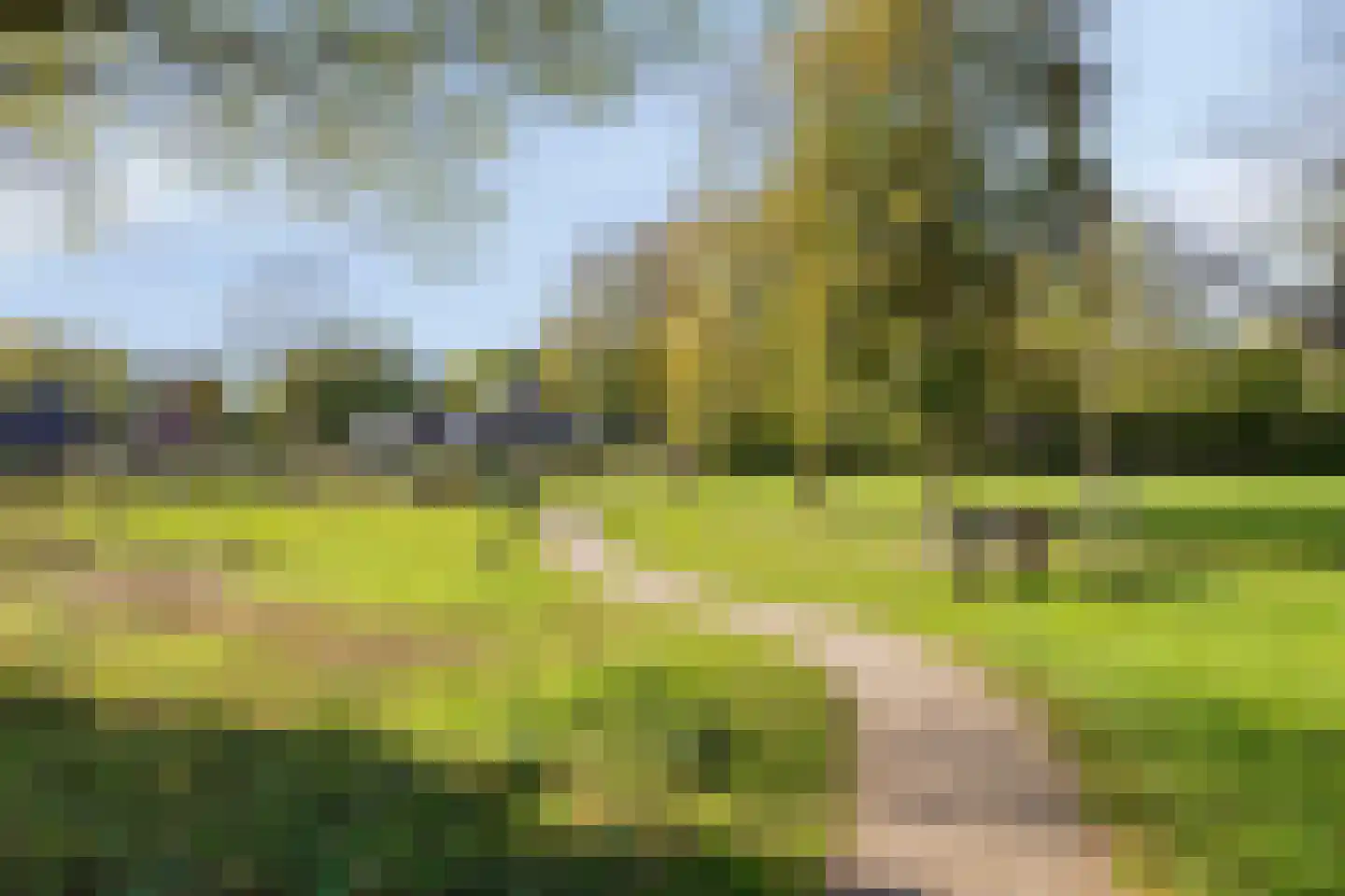 Pastoorsbiest 45 Boxmeer thumbnail 71