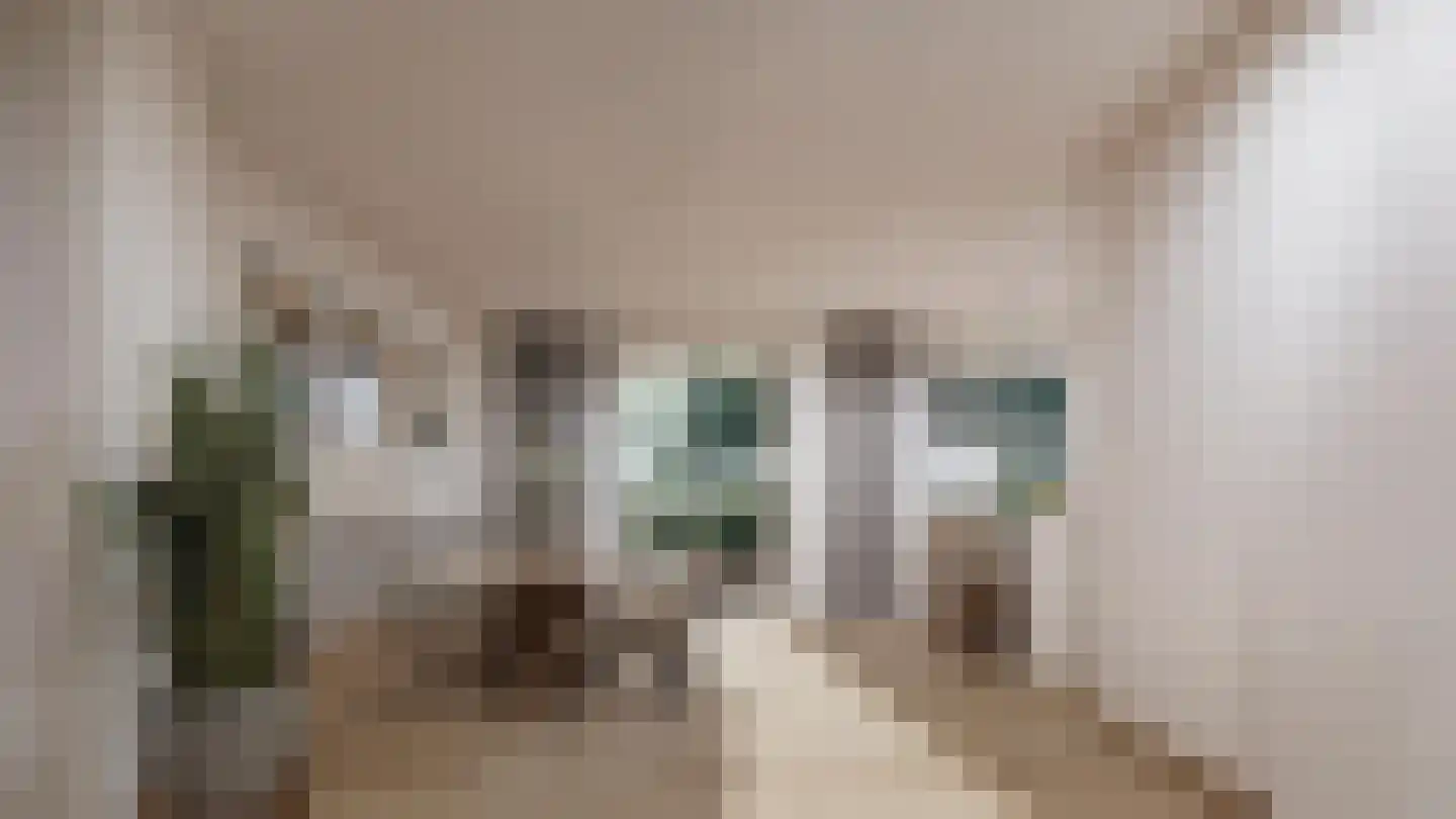 Pastoorsblok 36 Monster thumbnail 5