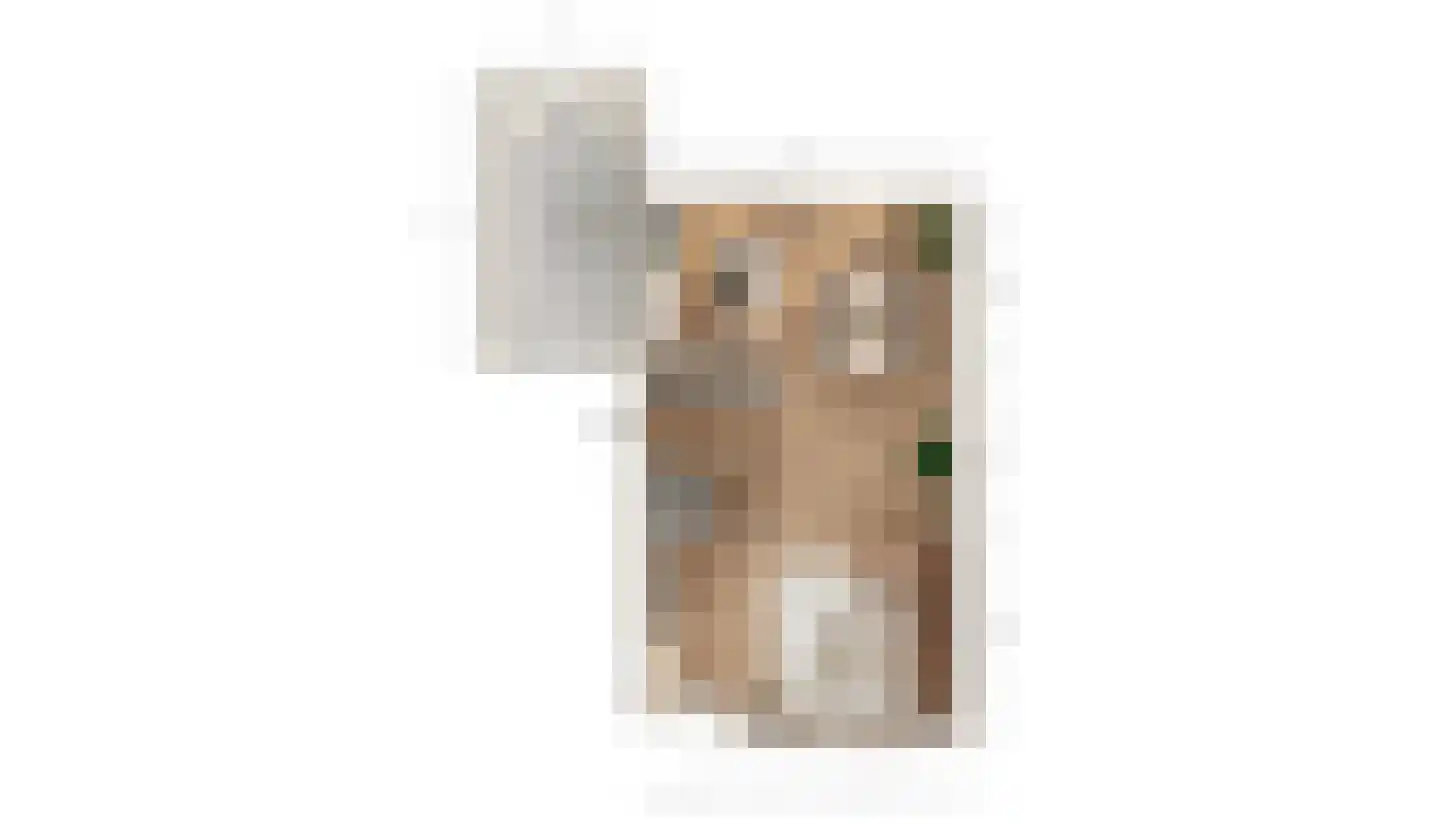 Pastoorsblok 42 Monster thumbnail 8