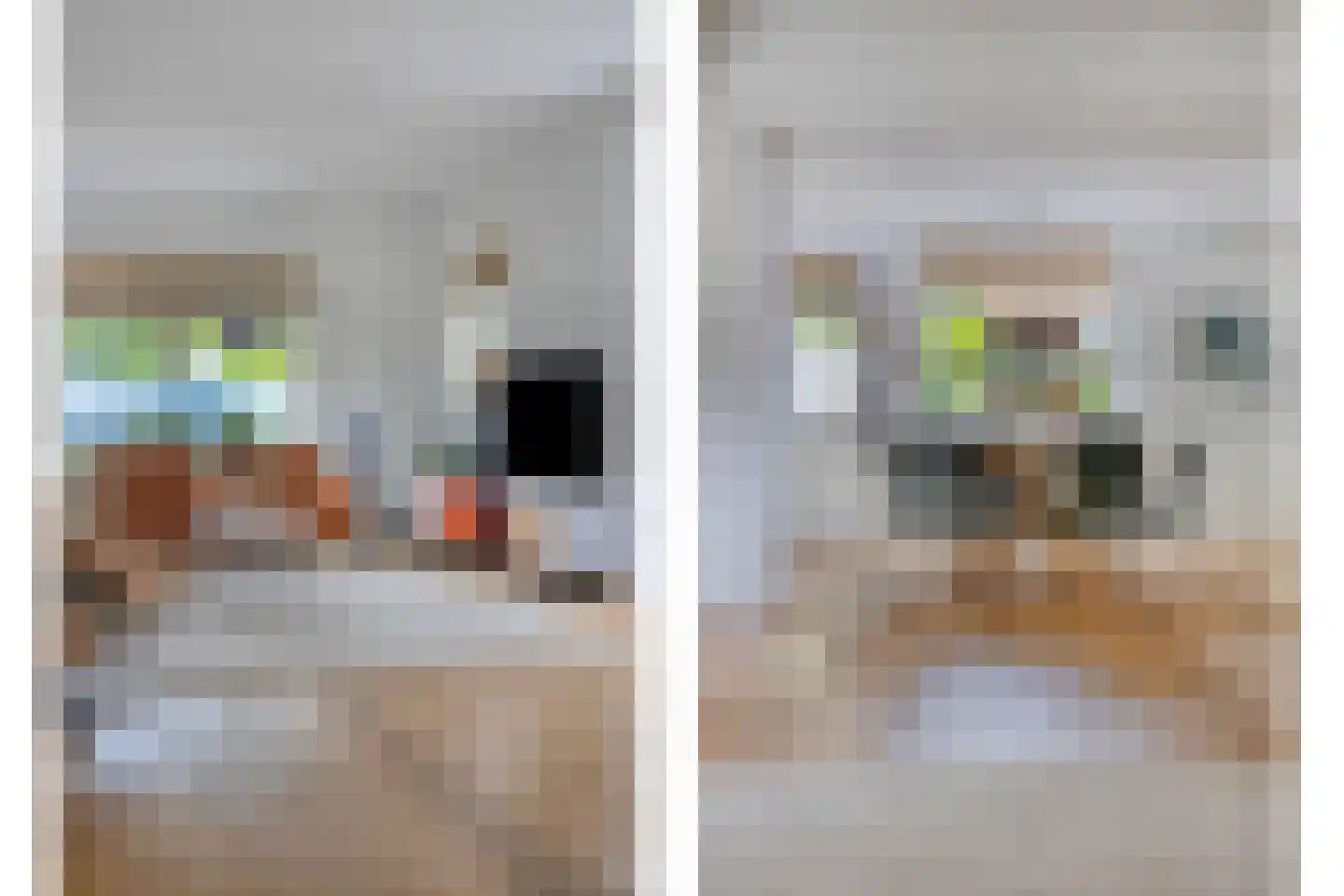 Pastoorsdijk 5 Schalkhaar thumbnail 14