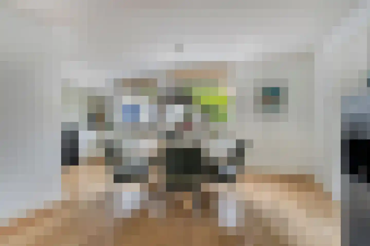 Pastoorsdijk 5 Schalkhaar thumbnail 18