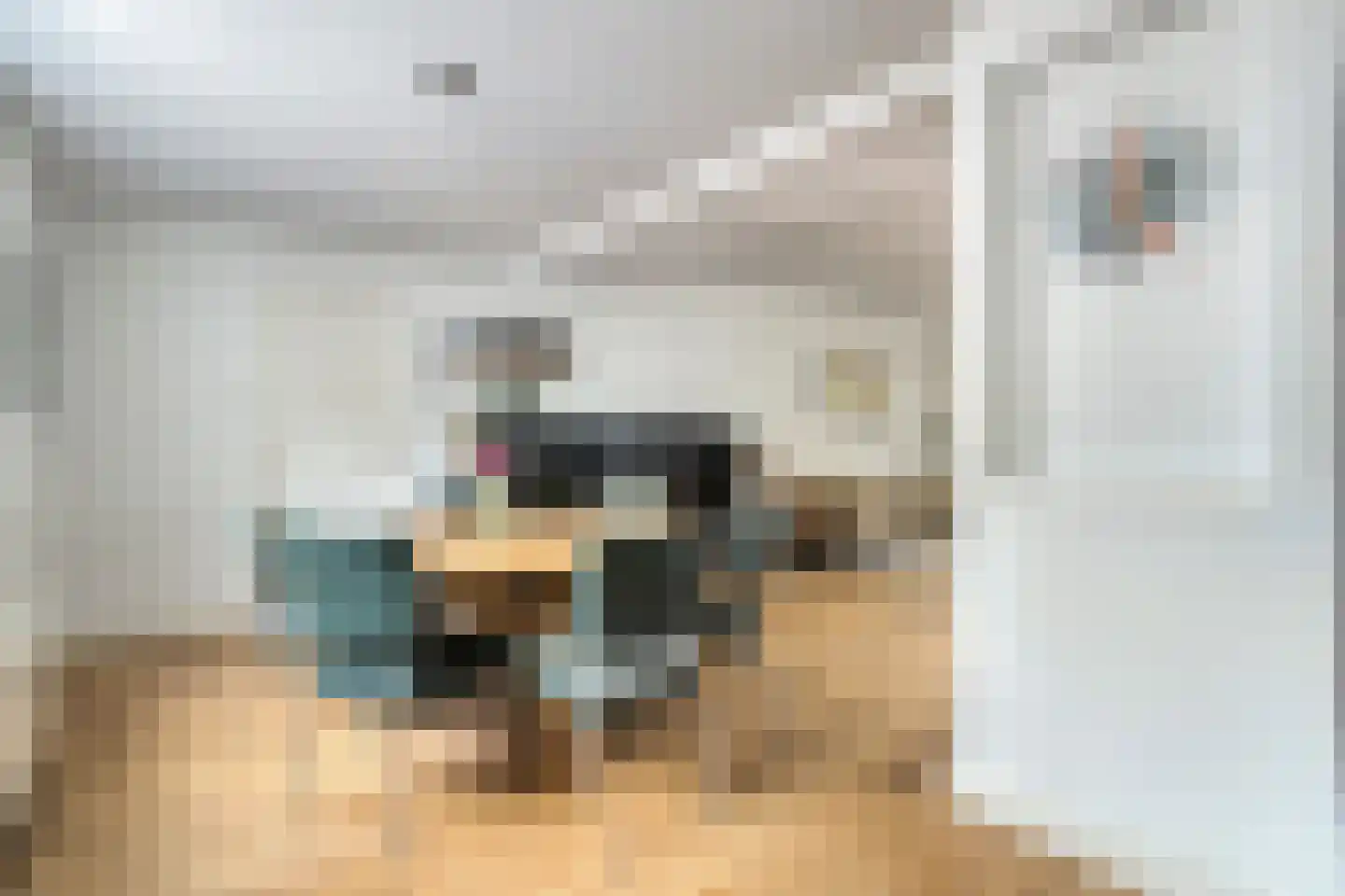 Pastoorsdijk 5 Schalkhaar thumbnail 21
