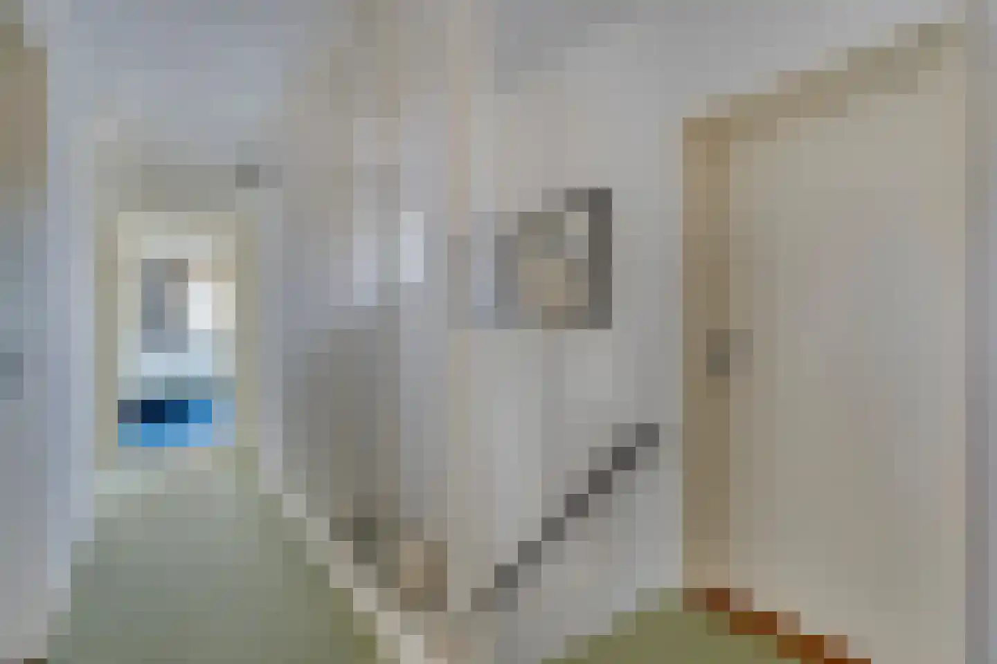 Pastoorsdijk 5 Schalkhaar thumbnail 22