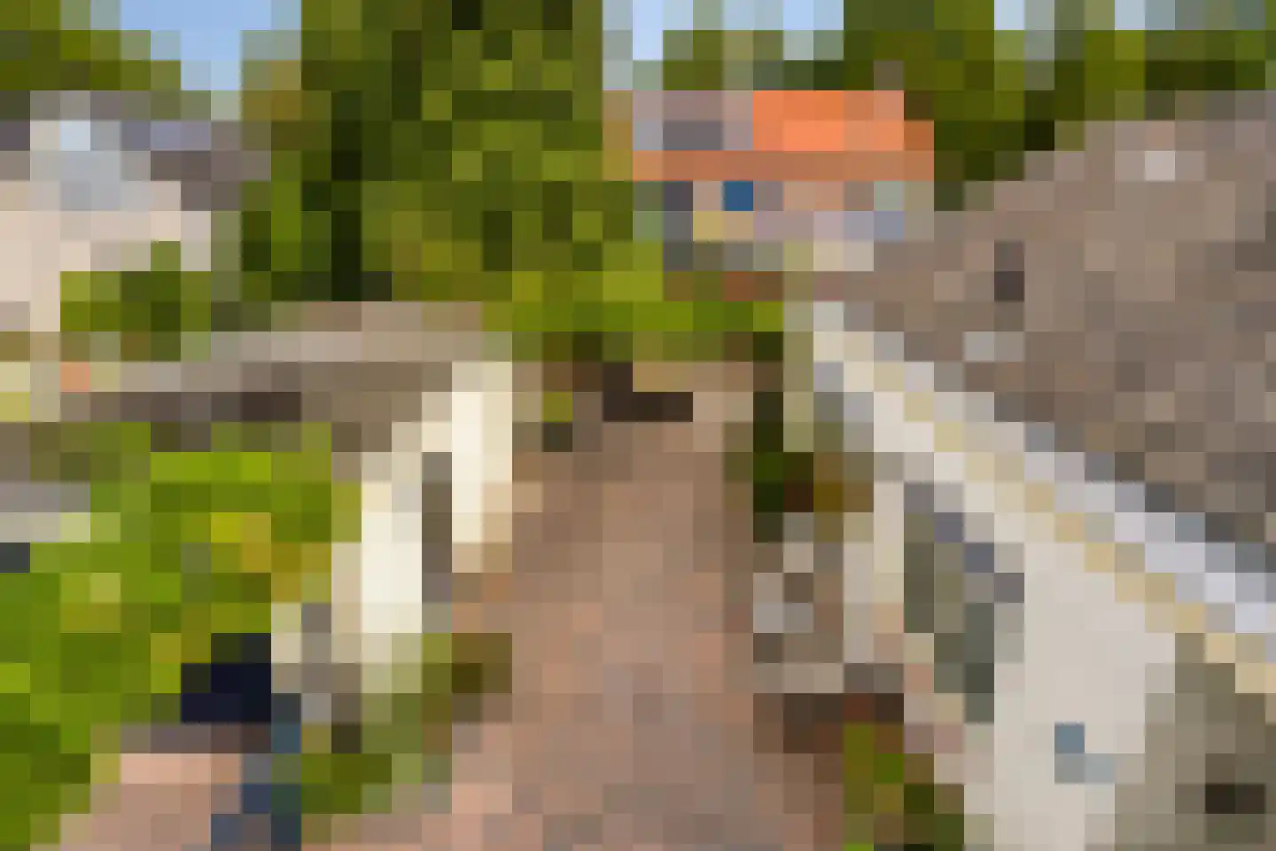 Pastoorsdijk 5 Schalkhaar thumbnail 36