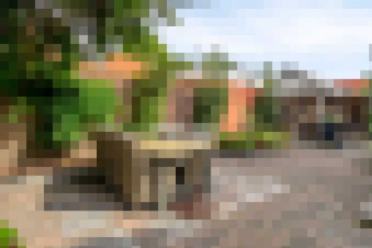 Pastoorsdijk 5 Schalkhaar thumbnail 37