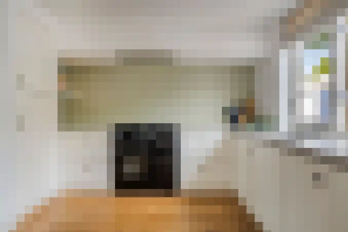 Pastoorsdijk 5 Schalkhaar thumbnail 4