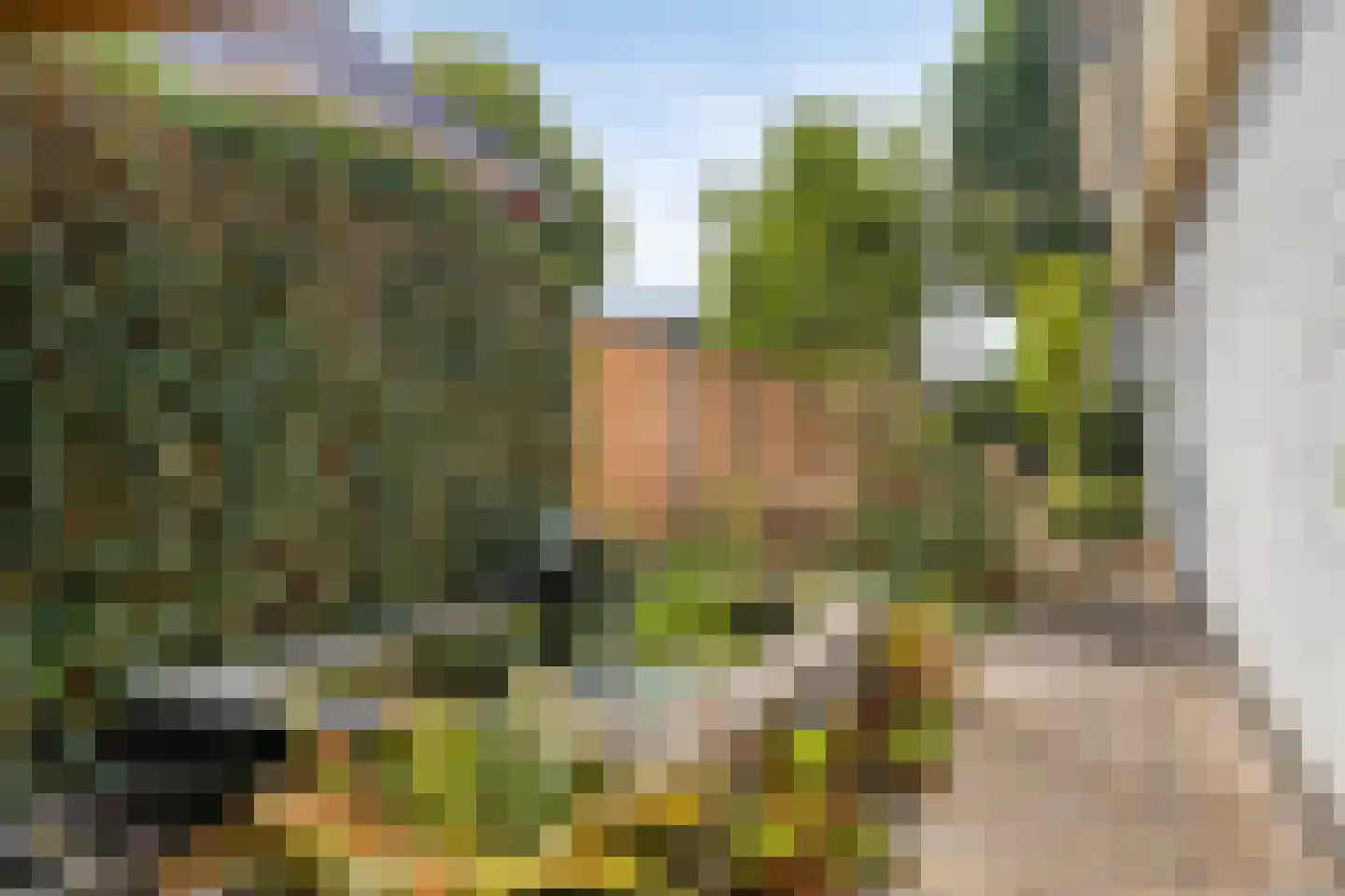 Pastoorsdijk 5 Schalkhaar thumbnail 42