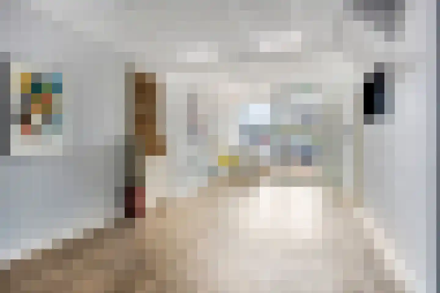 Pastoorsdijk 5 Schalkhaar thumbnail 5