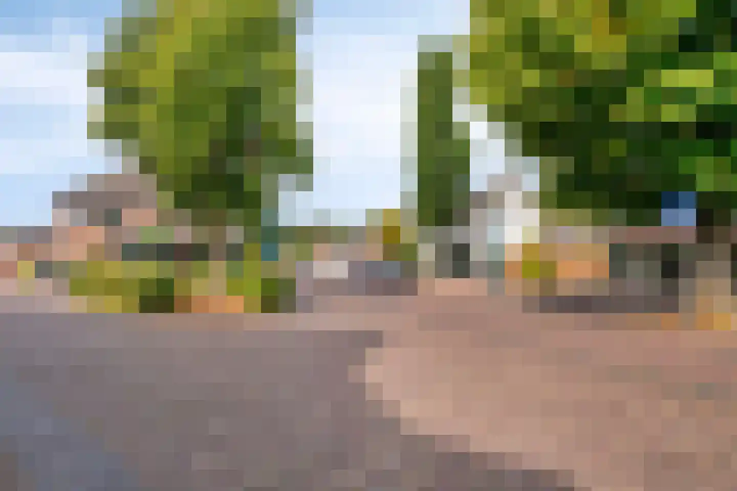 Pastoorsdijk 5 Schalkhaar thumbnail 56