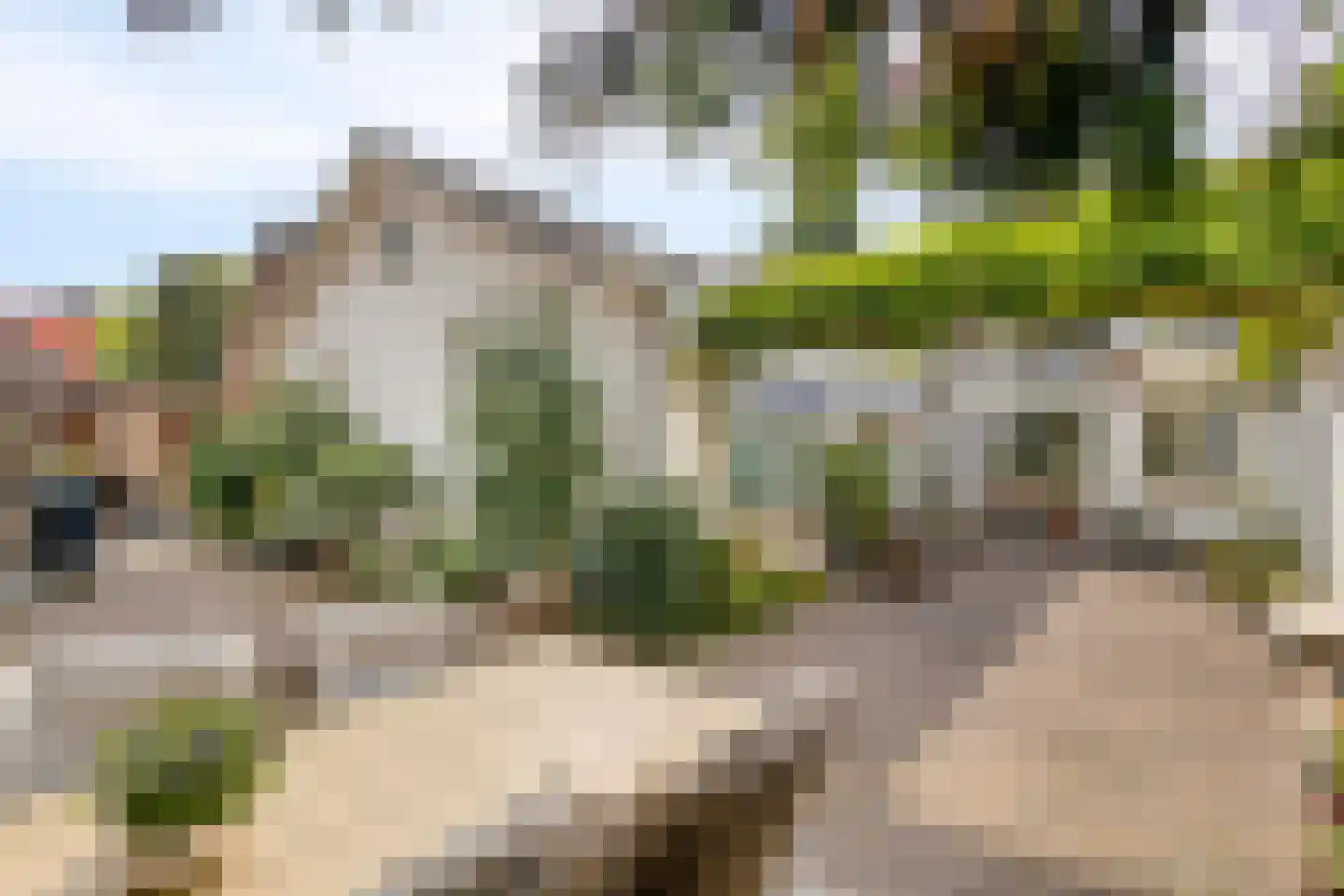 Pastoorsdijk 5 Schalkhaar thumbnail 6