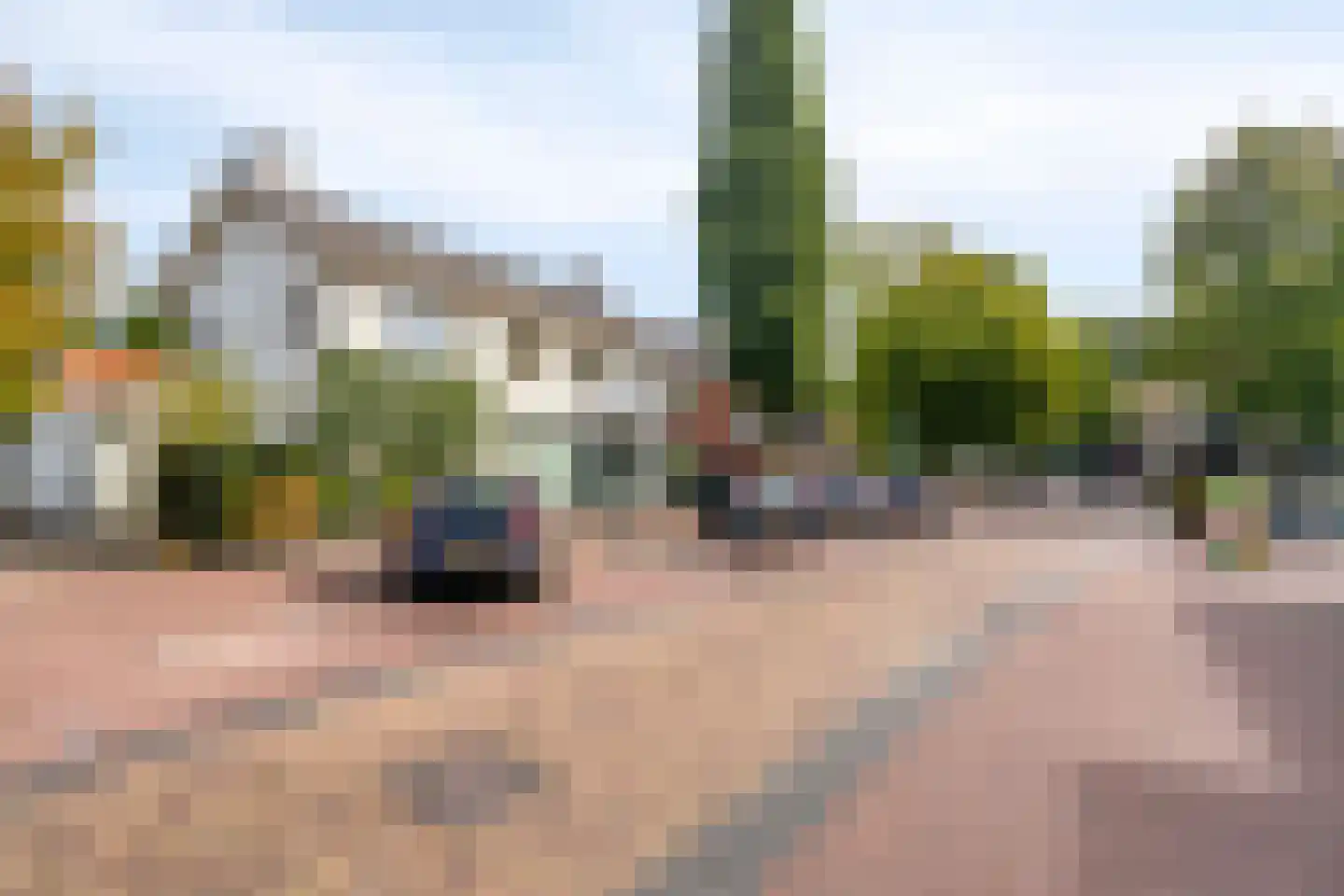 Pastoorsdijk 5 Schalkhaar thumbnail 8