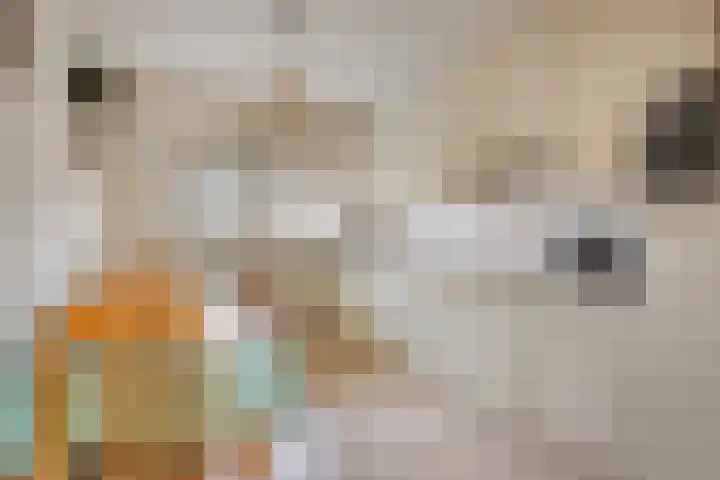 Pastoorsdreef 18 Zundert thumbnail 18