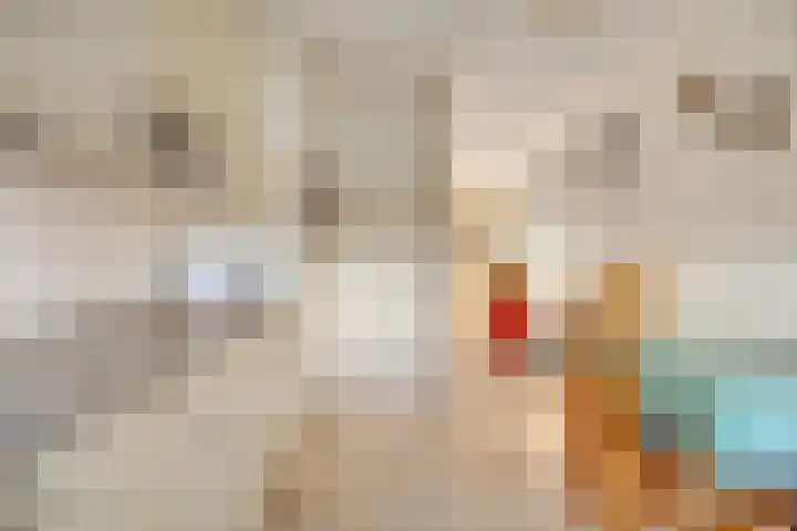 Pastoorsdreef 18 Zundert thumbnail 20