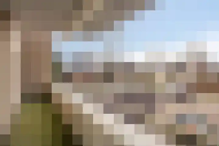Pastoorsdreef 18 Zundert thumbnail 23