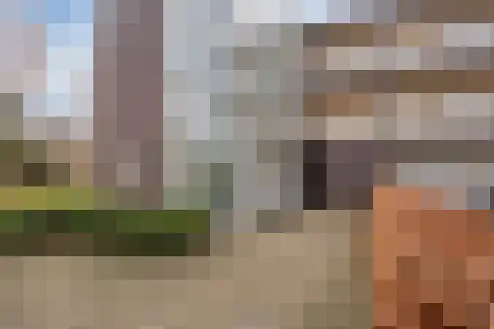 Pastoorsdreef 18 Zundert thumbnail 6