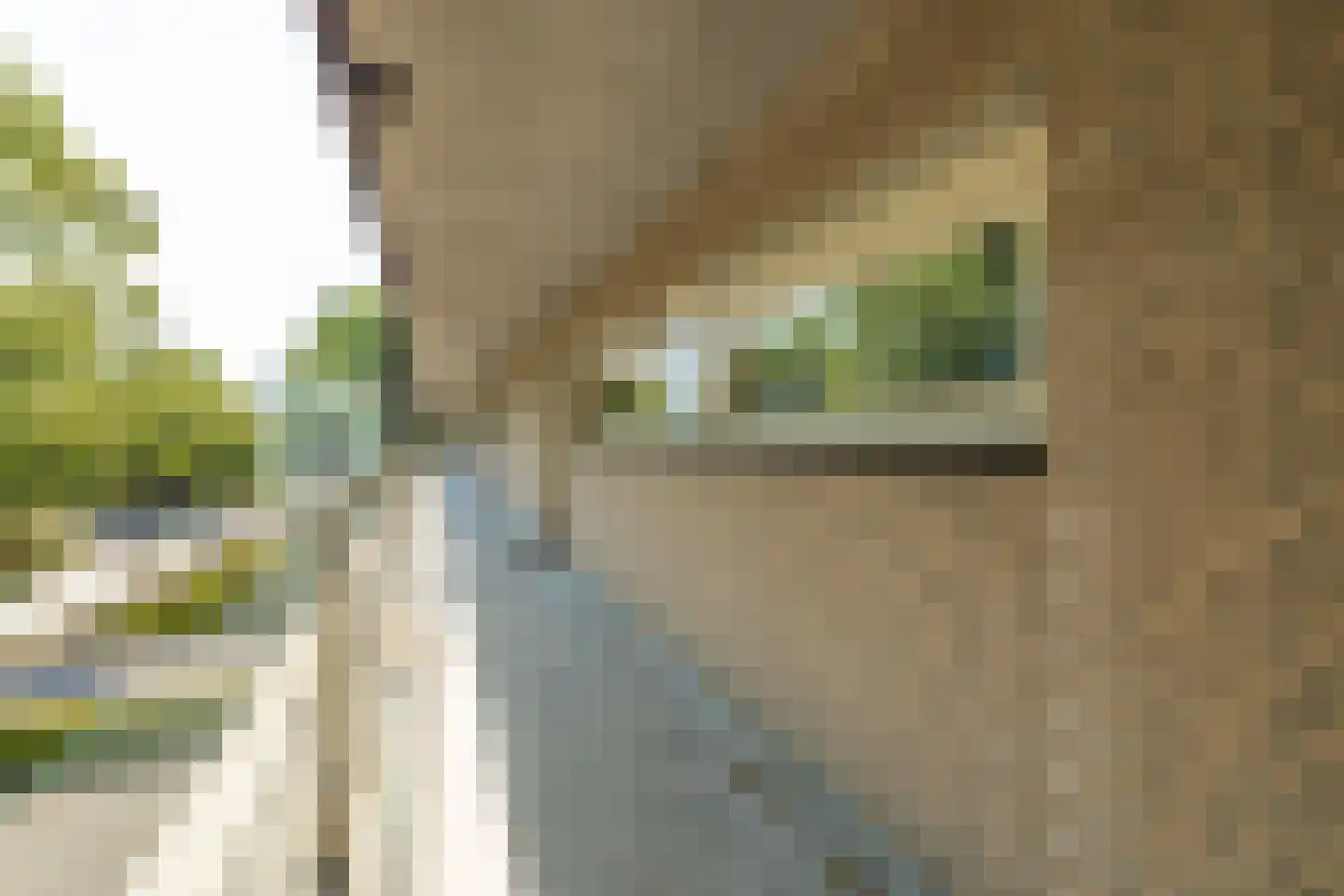 Pastoorsdreef 24 Zundert thumbnail 13