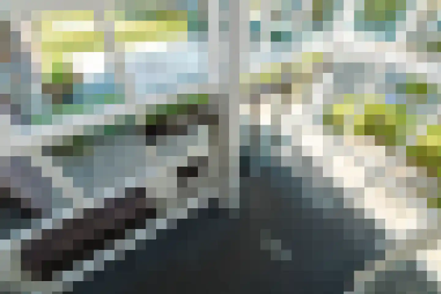 Pastoorsdreef 24 Zundert thumbnail 18
