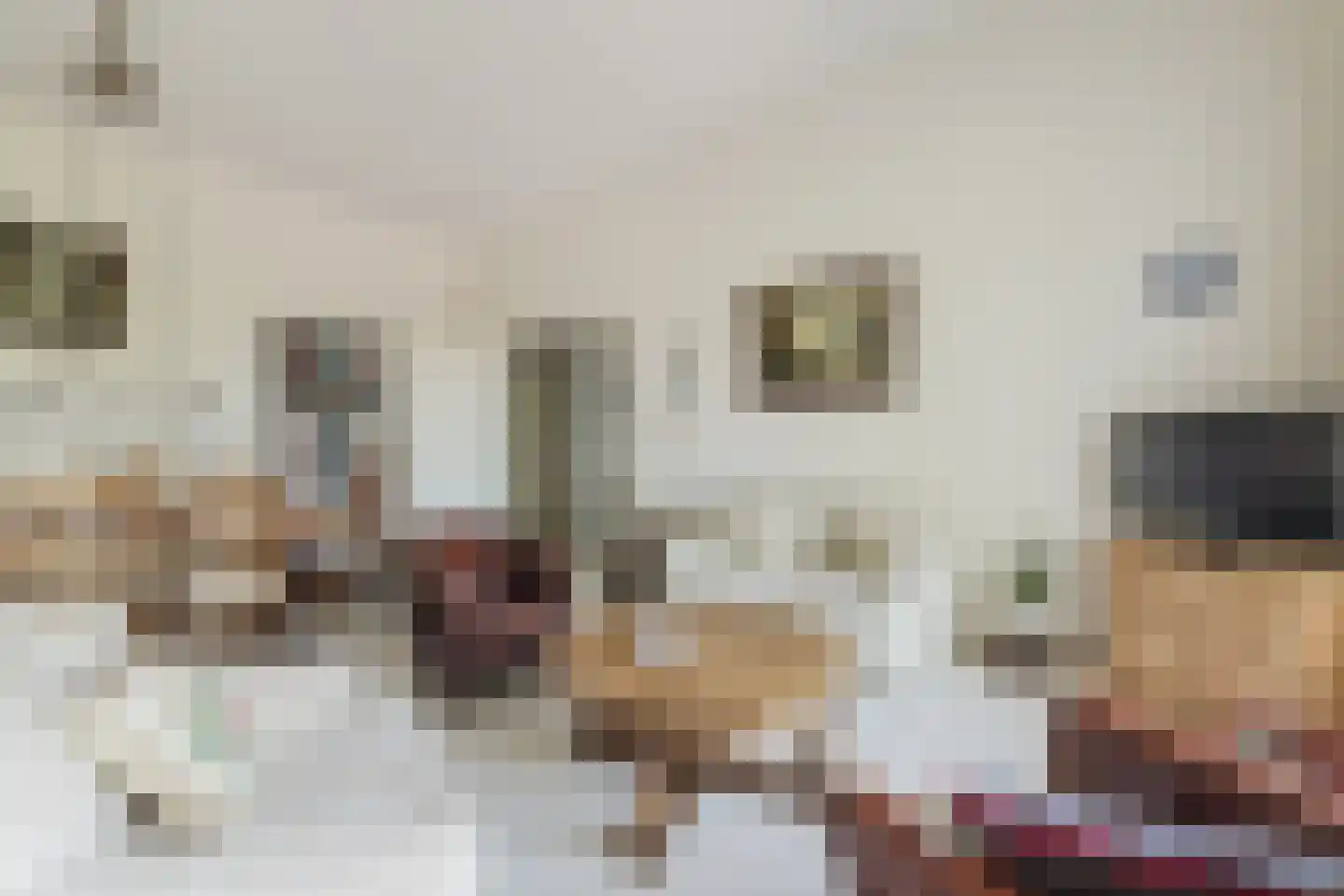 Pastoorsdreef 24 Zundert thumbnail 26