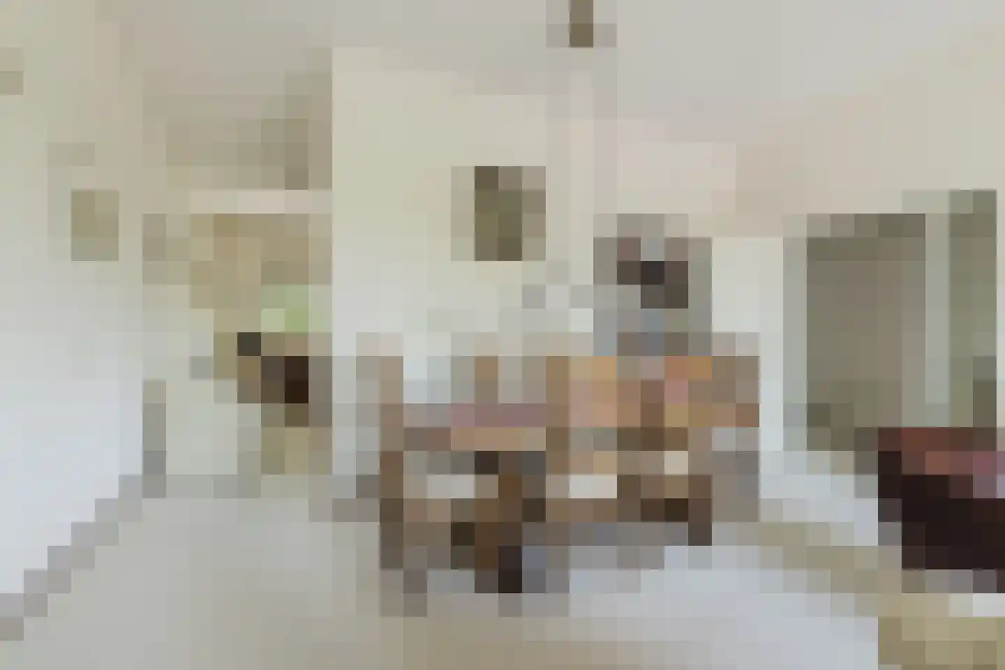 Pastoorsdreef 24 Zundert thumbnail 29