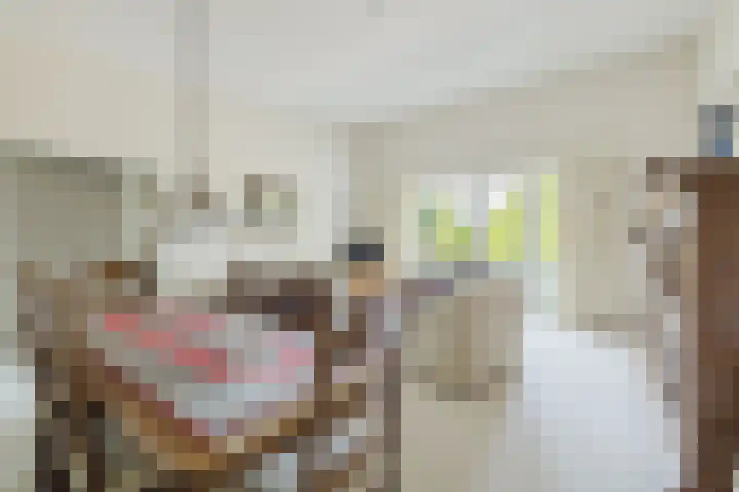 Pastoorsdreef 24 Zundert thumbnail 30