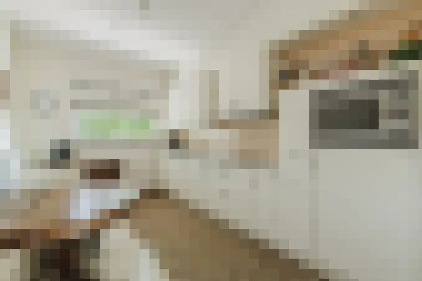 Pastoorsdreef 24 Zundert thumbnail 32