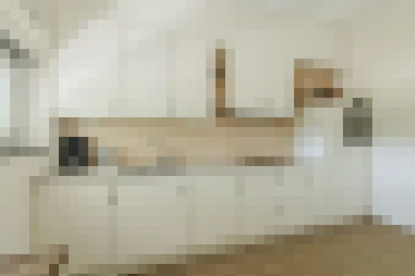 Pastoorsdreef 24 Zundert thumbnail 33