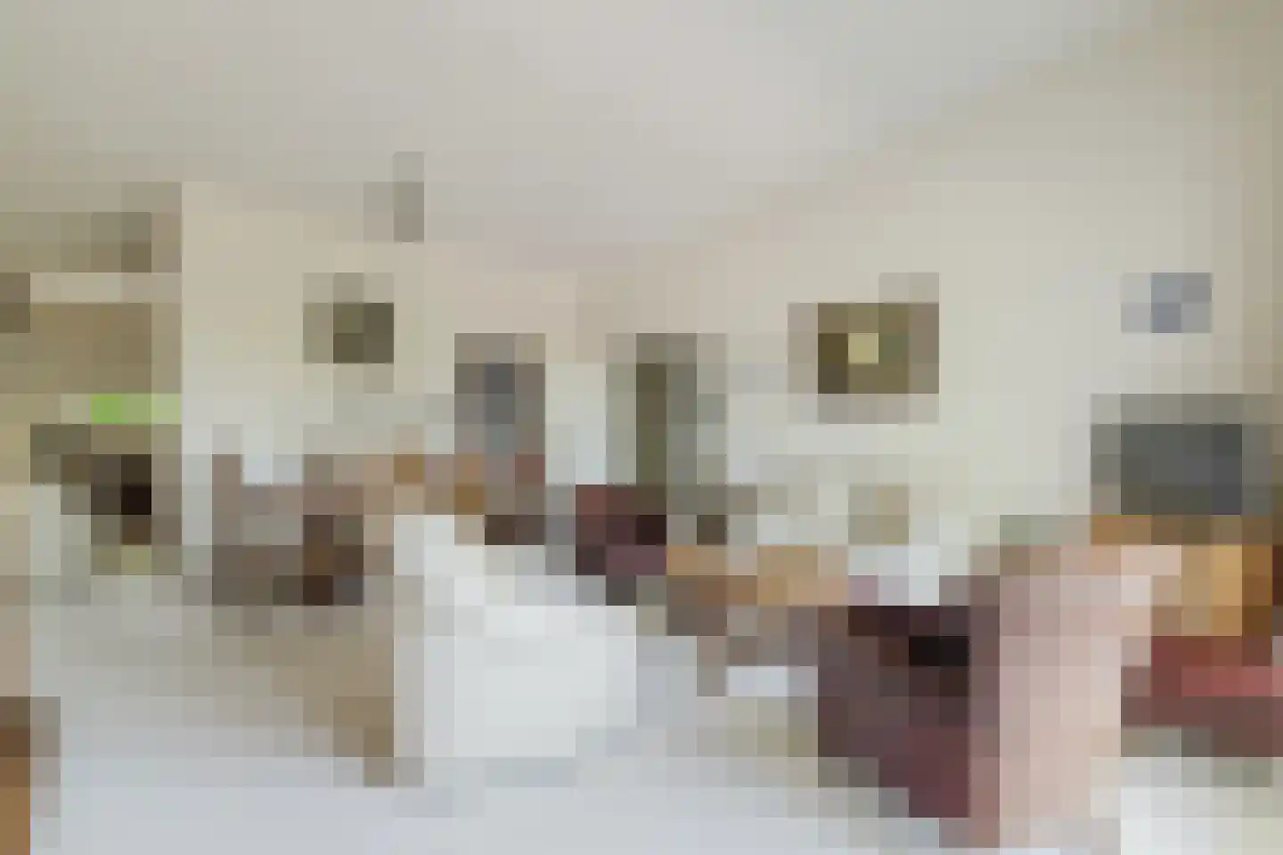 Pastoorsdreef 24 Zundert thumbnail 4
