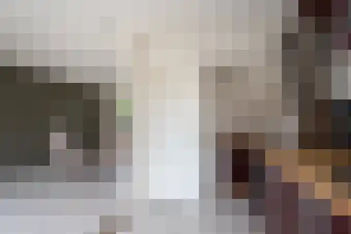 Pastoorshof 34 Bergeijk thumbnail 10