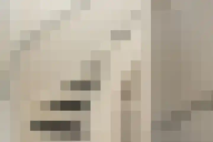 Pastoorshof 34 Bergeijk thumbnail 11
