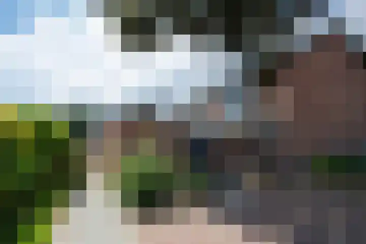 Pastoorshof 34 Bergeijk thumbnail 23