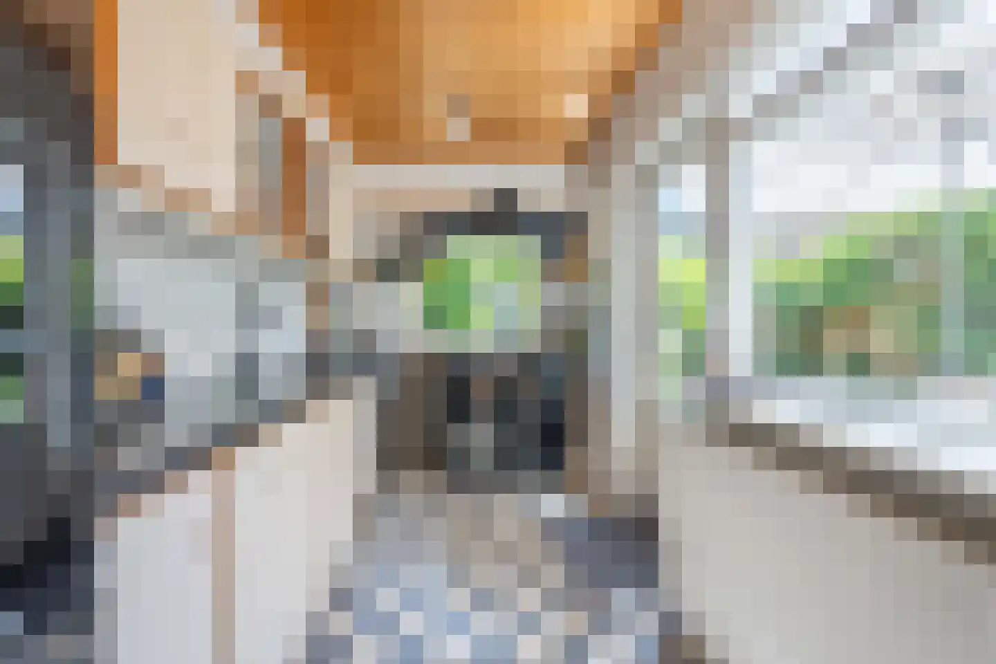 Pastoorslaan 17 Hillegom thumbnail 12
