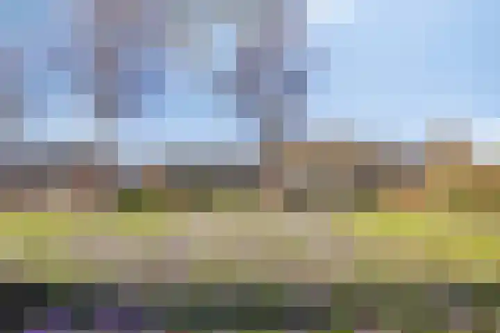 Pastoorslaantje 9 Oldeberkoop