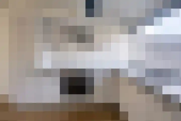 Pastoorslaantje 9 Oldeberkoop thumbnail 11