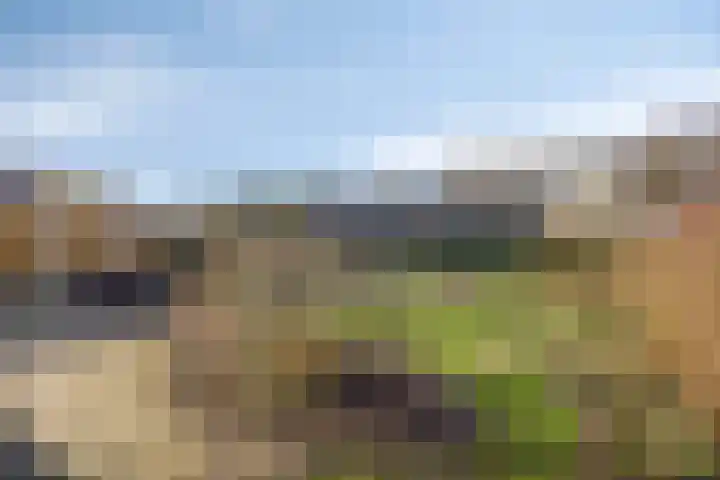 Pastoorslaantje 9 Oldeberkoop thumbnail 19