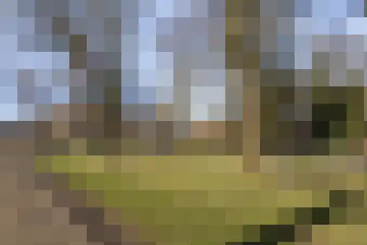 Pastoorslaantje 9 Oldeberkoop thumbnail 22