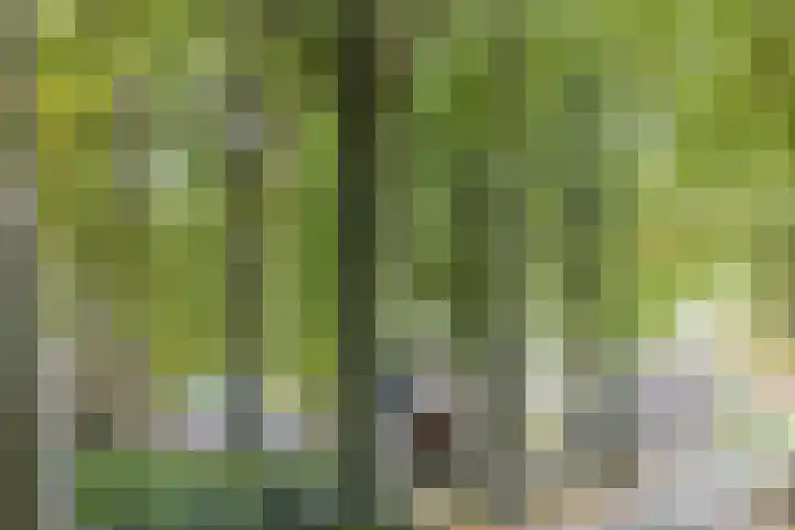Pastoorslaantje 9 Oldeberkoop thumbnail 23