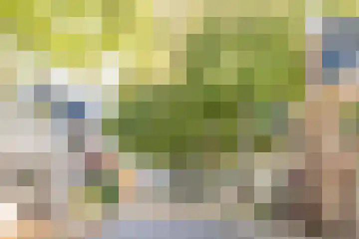 Pastoorslaantje 9 Oldeberkoop thumbnail 24