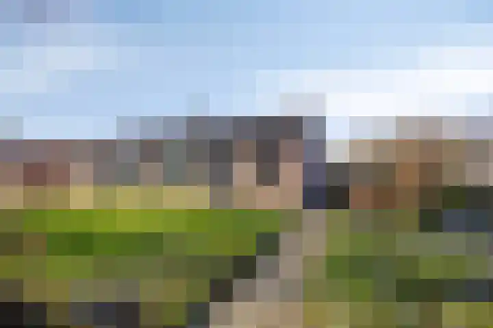 Pastoorslaantje 9 Oldeberkoop thumbnail 4