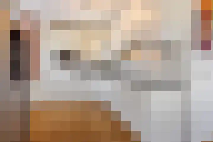 Pastoorspaadje 5 Moergestel thumbnail 21