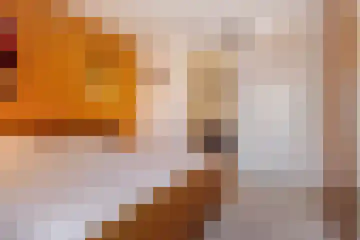 Pastoorspaadje 5 Moergestel thumbnail 27