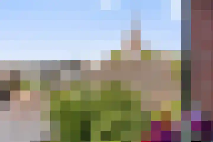 Pastoorspaadje 5 Moergestel thumbnail 6