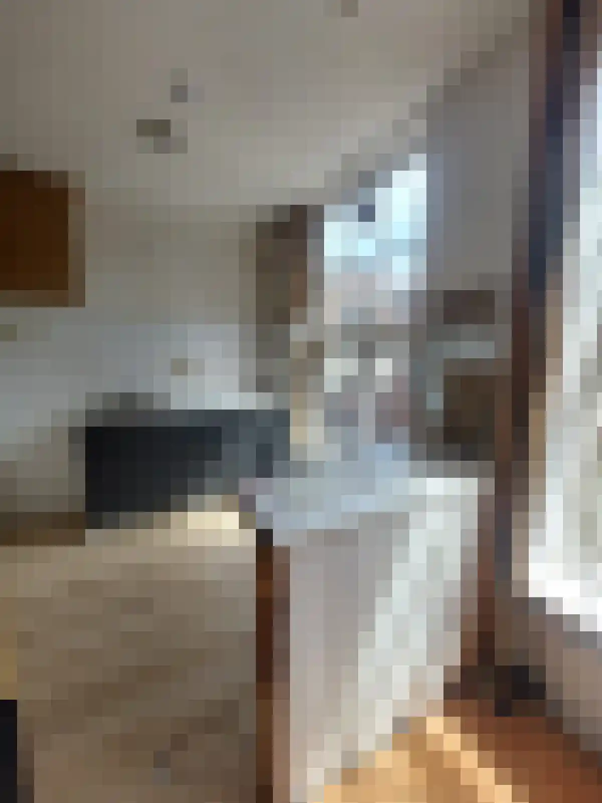 Pastoorstraat 1 Arnhem thumbnail 6