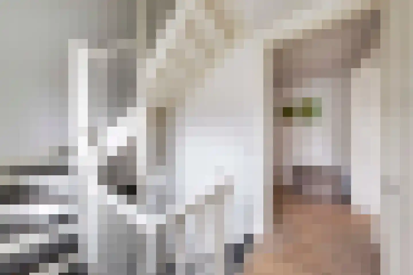 Pastoorstraat 12 Naarden thumbnail 13